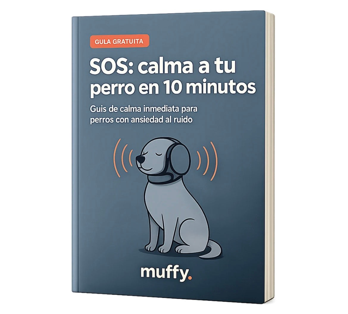 Guía de calma rápida