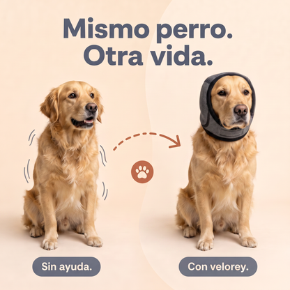 Orejeras aislantes de sonido para perros